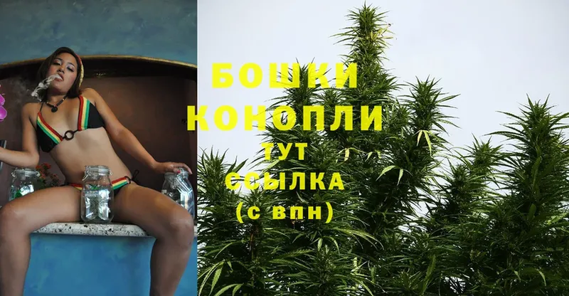 хочу наркоту  Туринск  Канабис White Widow 